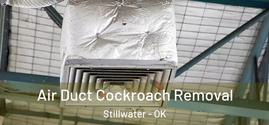  Air Duct Cockroach Removal Stillwater - OK