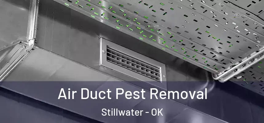  Air Duct Pest Removal Stillwater - OK