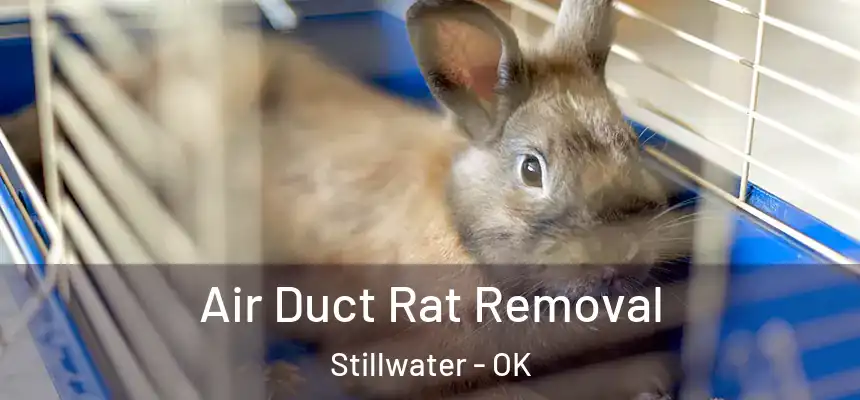  Air Duct Rat Removal Stillwater - OK