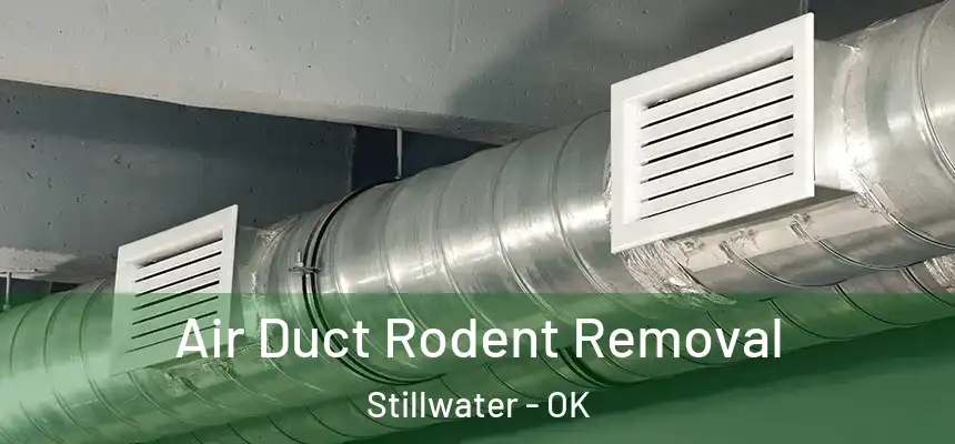  Air Duct Rodent Removal Stillwater - OK