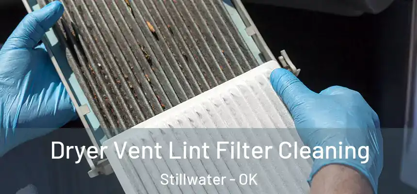  Dryer Vent Lint Filter Cleaning Stillwater - OK