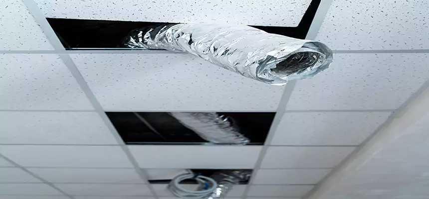 Our Air Duct Pet Hair Removal Services in Stillwater, OK