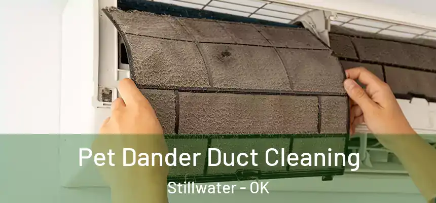 Pet Dander Duct Cleaning Stillwater - OK