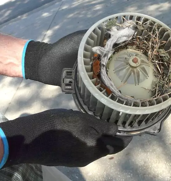 About Air Duct Rat Removal in Stillwater, OK