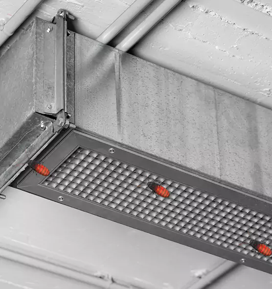 Affordable Insect Removal from Air Ducts in Stillwater, OK