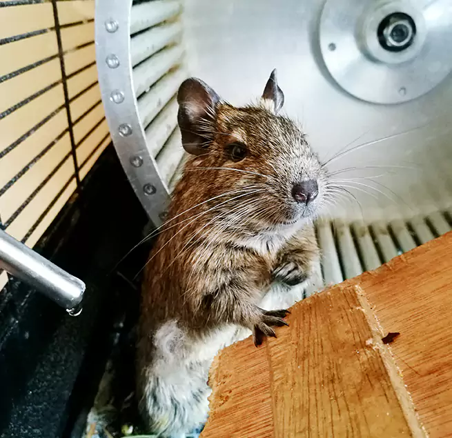 Why Homeowners & Businesses Trust Us Stillwater, OK?